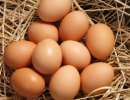 Odė kiaušiniui