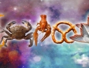 Mitybos horoskopas kiekvienam zodiako ženklui